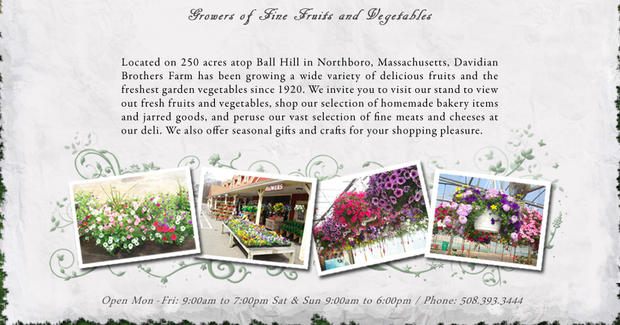 About Us